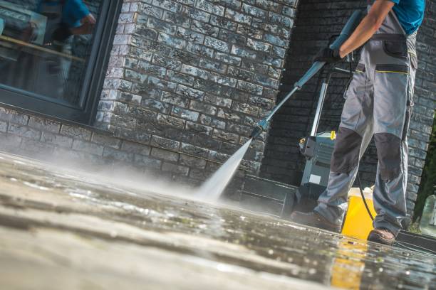 Best Roof Washing  in Cadillac, MI