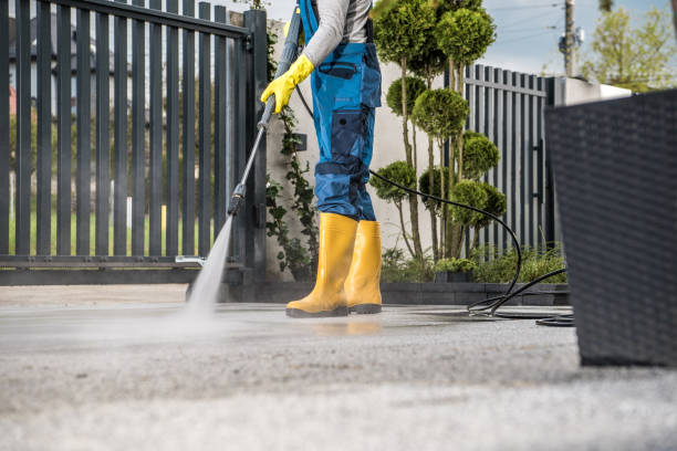 Best Patio and Deck Pressure Washing  in Cadillac, MI